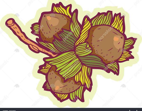 عکس نقاشی فانتزی فندق
