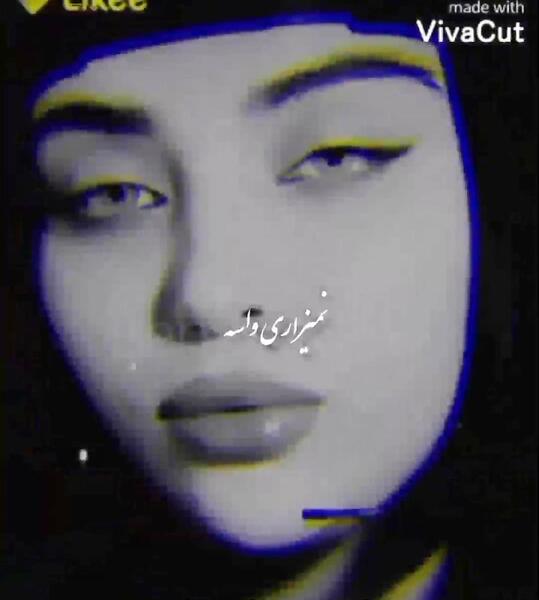 عکس های بهار جهانی