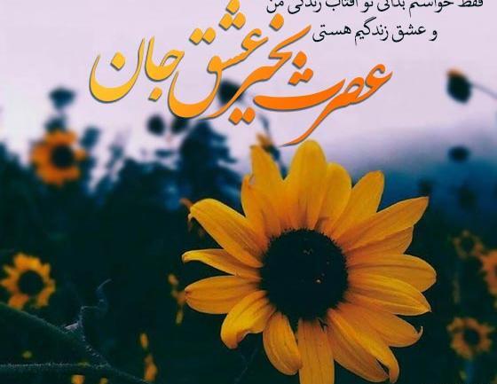 عکس نوشته ی سلام ظهرتون بخیر