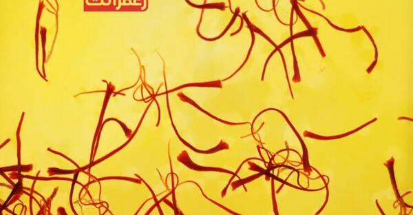 عکس زعفران دم کن