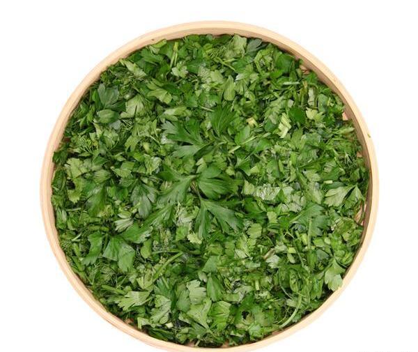 عکس گشنیز جعفری