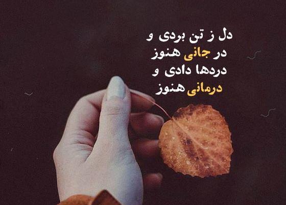 عکس نوشته امیر عاشقانه