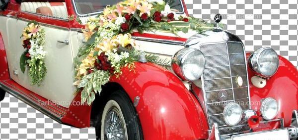 عکس ییلدیز برای تصویر زمینه