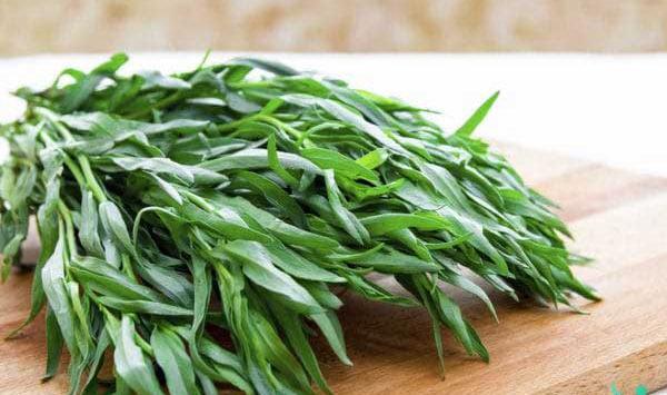 عکس شاهین سبزی