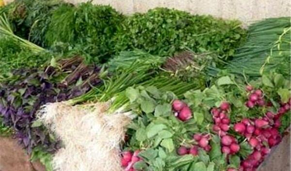 عکس شاهین سبزی