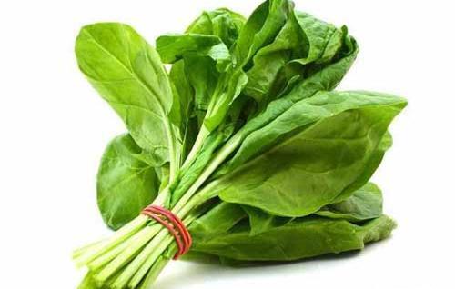 عکس شاهین سبزی