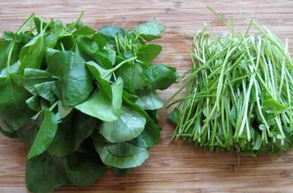 عکس شاهین سبزی