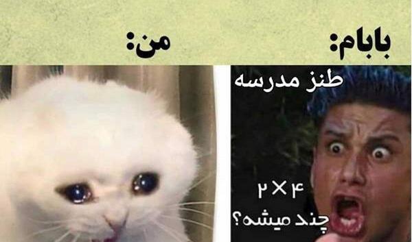 عکس برای میم