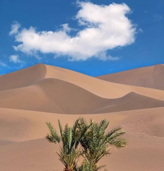 عکسهای زیبای کویر