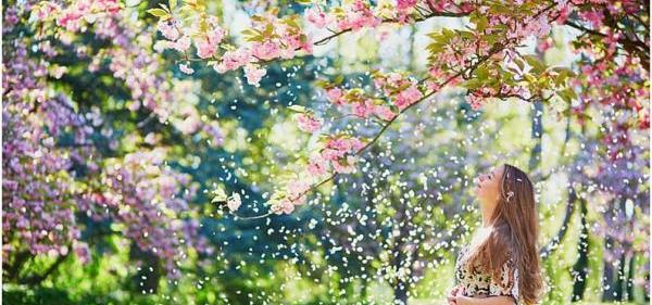 عکس زیبا برای پروفایل بهاری