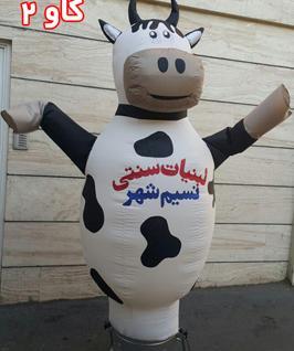 عکس گاو بادی