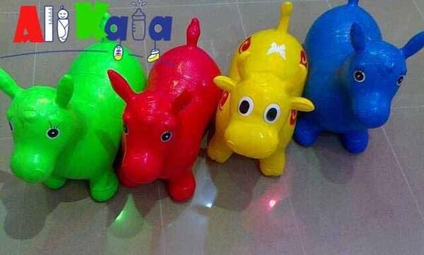 عکس گاو بادی