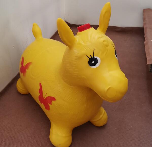 عکس گاو بادی