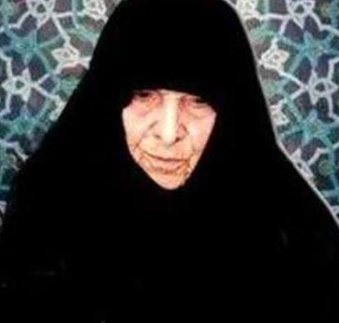عکس امین ذکاوت