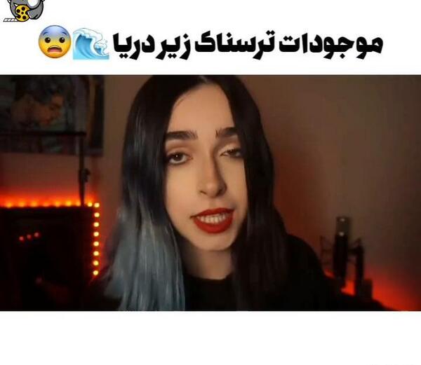 عکس حیوانات توی دریا