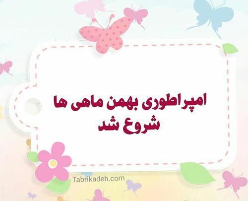 عکس نوشته آغاز پادشاهی بهمن ماهی ها