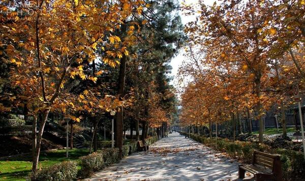 عکس پاییزی از طبیعت