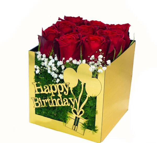 عکس تولدت مبارک طوبی