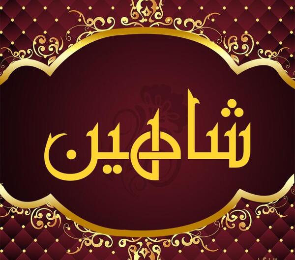 عکس نوشته در مورد اسم شاهین