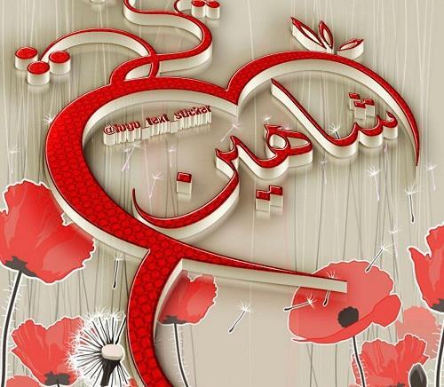 عکس نوشته در مورد اسم شاهین