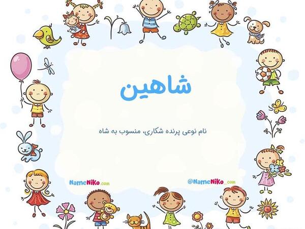 عکس نوشته در مورد اسم شاهین