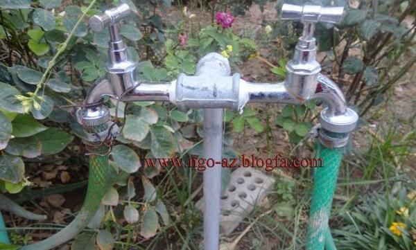 عکس آبیاری قطره ای