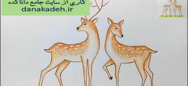 عکس نقاشی ساده گوزن