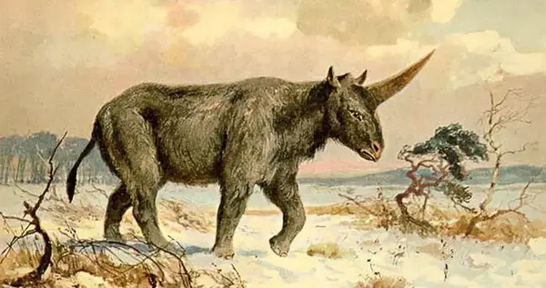 عکس اسب تک شاخ زنده