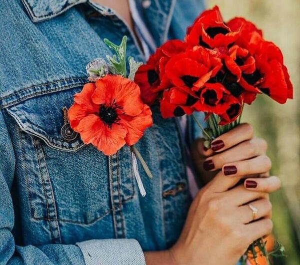 عکس نوشته های شقایق