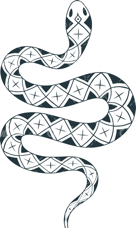 عکس مار سیاه