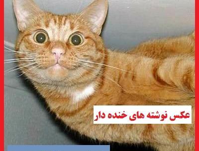عکس های خنده دار اینستاگرام