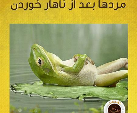 عکس های خنده دار اینستاگرام