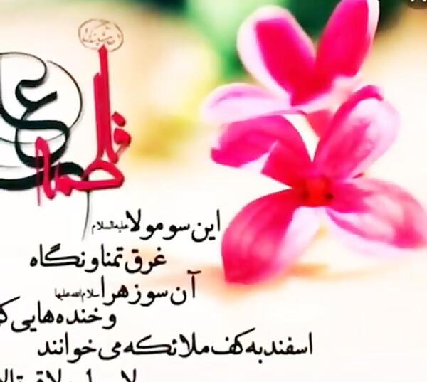 عکس سالگرد ازدواج زهرا و محمد