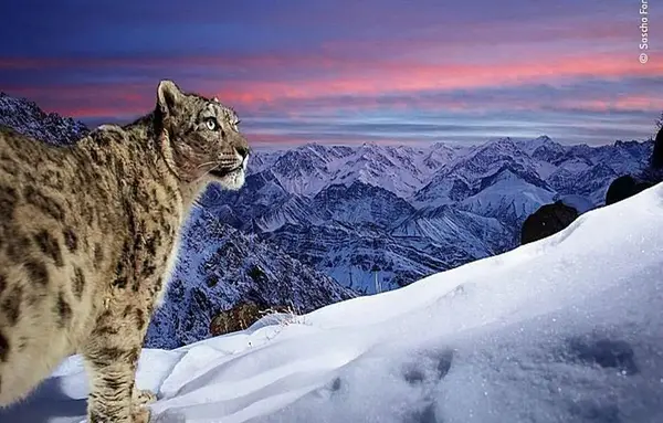 عکس عکس از طبیعت