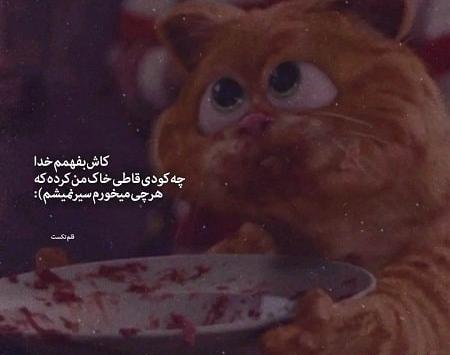 عکس نوشته طنز طعنه دار
