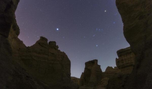 عکس ستاره گان