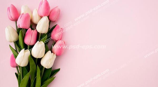 عکس پس زمینه نوشتن