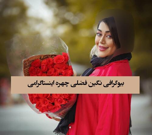 عکس های نگین فضلی یکی