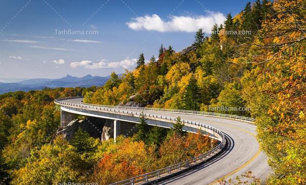 عکس طبیعت زیبا وسرسبز