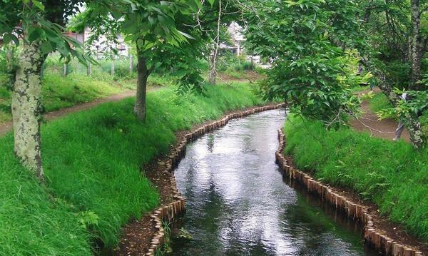 عکس طبیعت زیبا وسرسبز