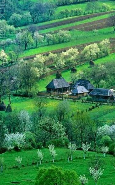 عکس طبیعت زیبا وسرسبز
