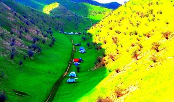 عکس طبیعت زیبا وسرسبز