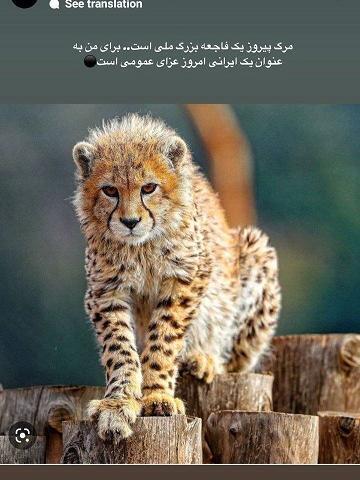 عکس مهدی پور جوان