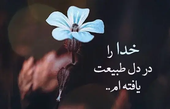 عکس نوشته گل لاله