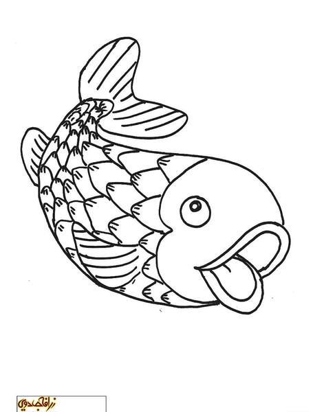 عکس مارمولک نقاشی