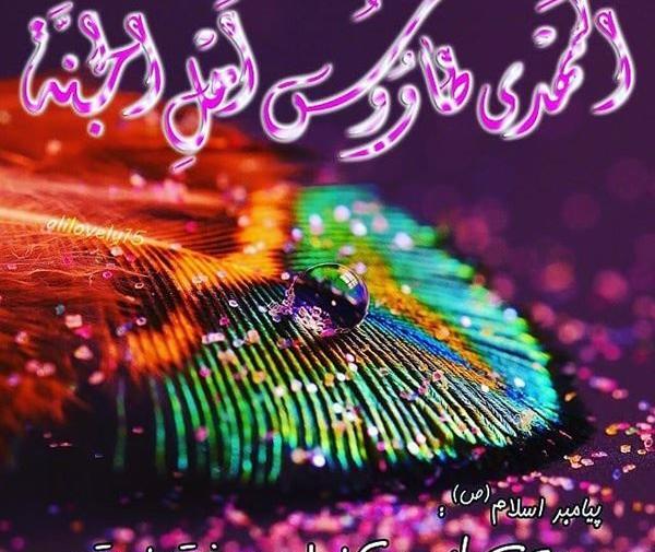 عکس های نوشته شده مهدیه