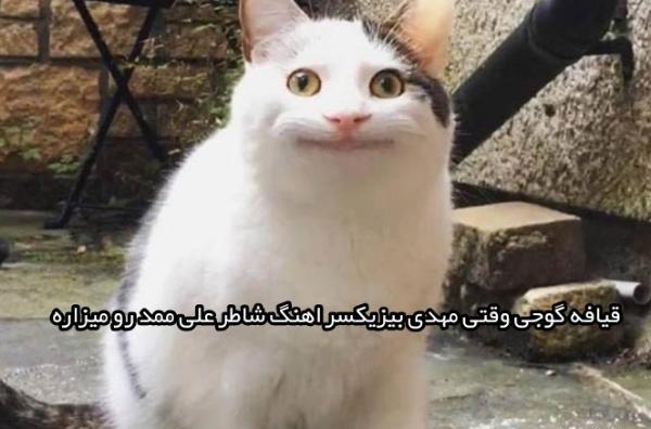 عکس عروسک گوجی