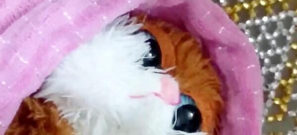 عکس عروسک گوجی