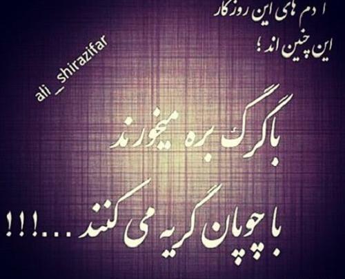 عکس گرگ نوشته