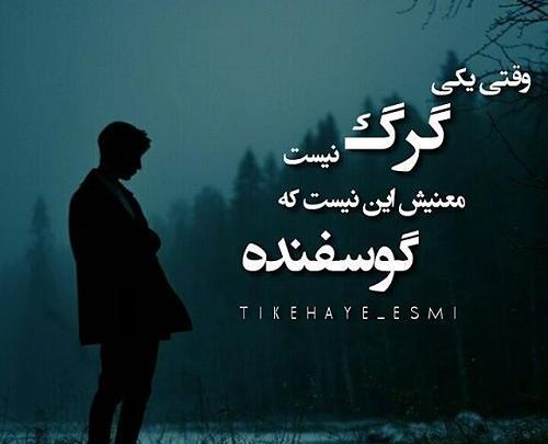 عکس گرگ نوشته